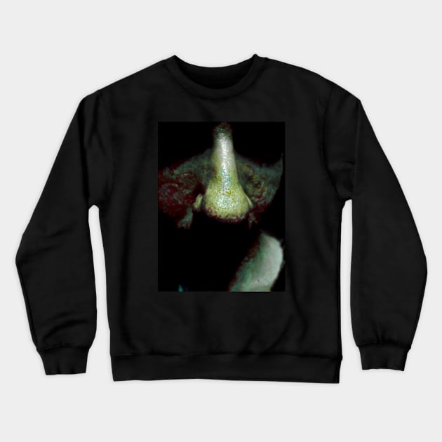 Portrait, digital collage and special processing. Close up to face, nose. Weird and dark. Crewneck Sweatshirt by 234TeeUser234